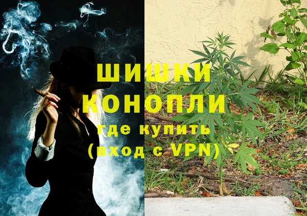 индика Алексеевка