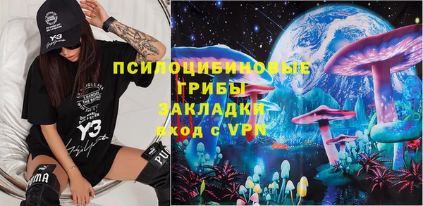 индика Алексеевка