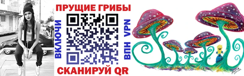 Галлюциногенные грибы GOLDEN TEACHER  Андреаполь 