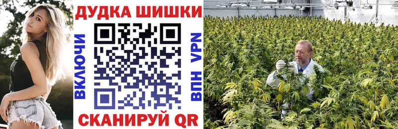 shop телеграм Андреаполь Канабис тримм дарнет шоп